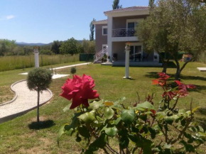 Elegant house